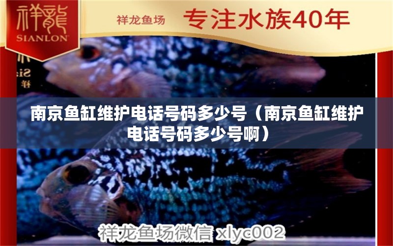 南京鱼缸维护电话号码多少号（南京鱼缸维护电话号码多少号啊）
