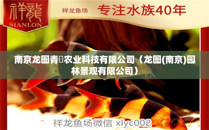 南京龙图青鳉农业科技有限公司（龙图(南京)园林景观有限公司）