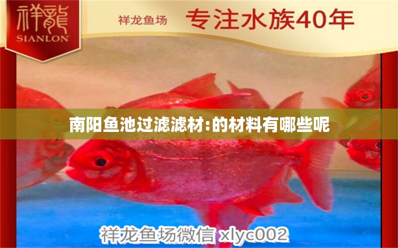 南阳鱼池过滤滤材:的材料有哪些呢 广州水族器材滤材批发市场