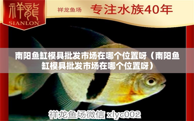 南阳鱼缸模具批发市场在哪个位置呀（南阳鱼缸模具批发市场在哪个位置呀） 皇冠黑白魟鱼