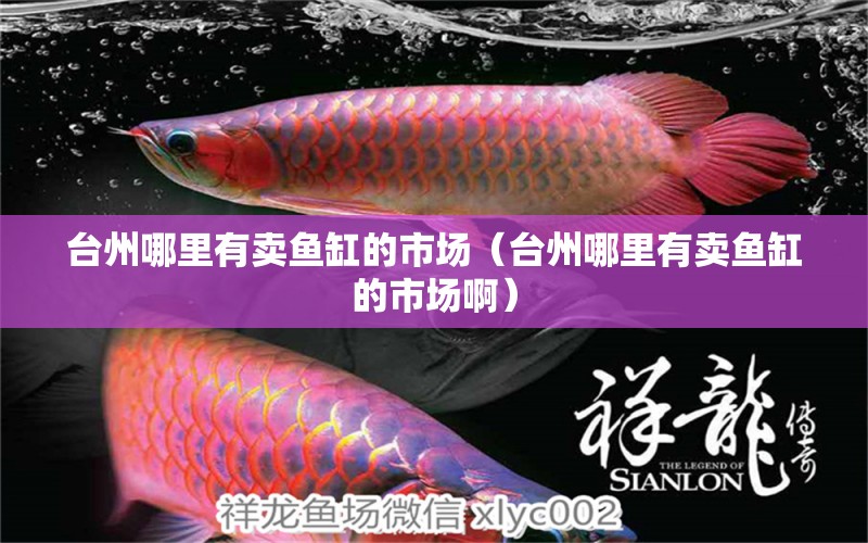 台州哪里有卖鱼缸的市场（台州哪里有卖鱼缸的市场啊） 其他品牌鱼缸