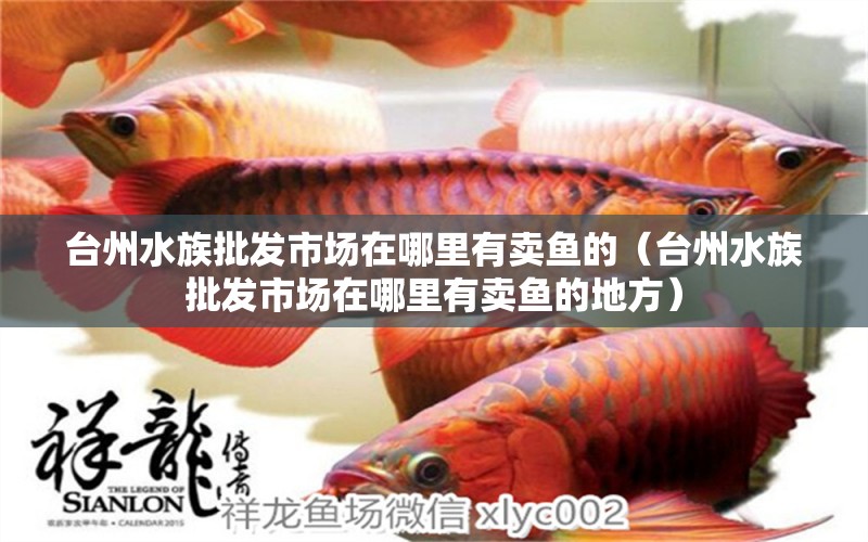 台州水族批发市场在哪里有卖鱼的（台州水族批发市场在哪里有卖鱼的地方）