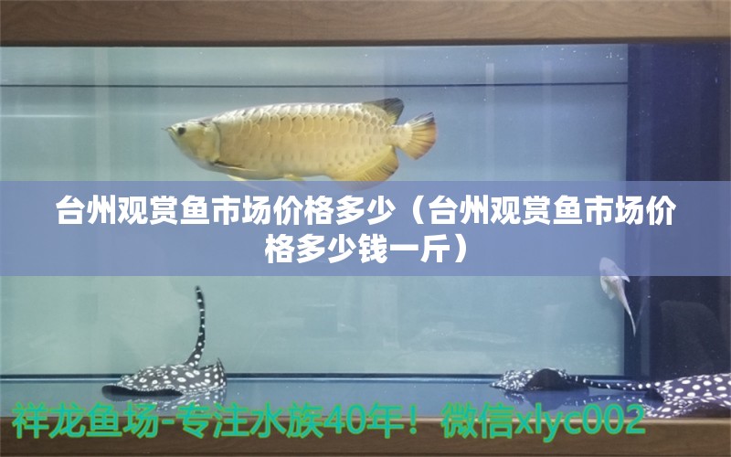 台州观赏鱼市场价格多少（台州观赏鱼市场价格多少钱一斤）