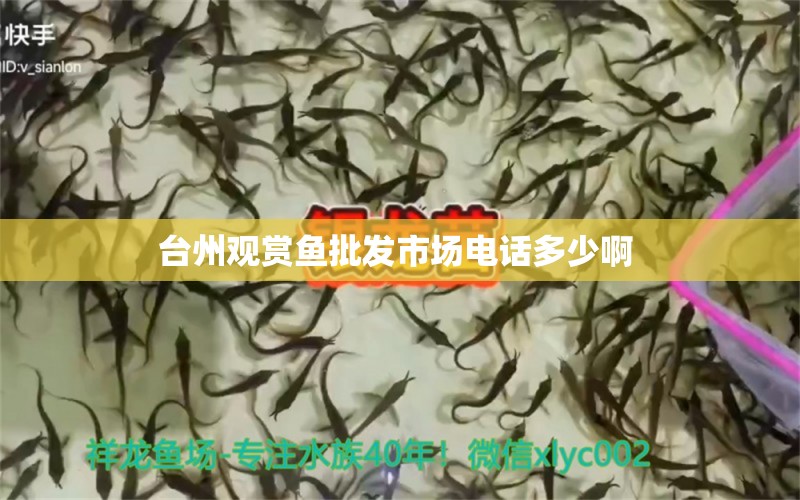 台州观赏鱼批发市场电话多少啊 