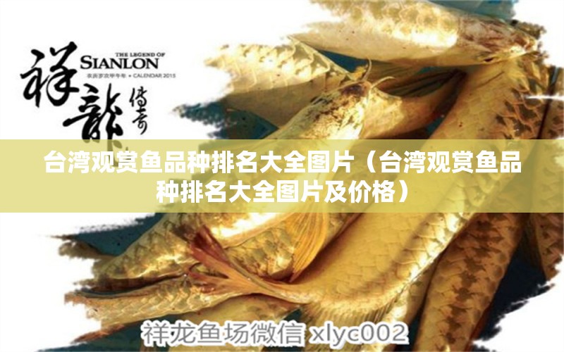 台湾观赏鱼品种排名大全图片（台湾观赏鱼品种排名大全图片及价格）
