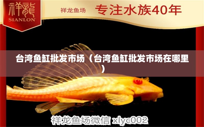 台湾鱼缸批发市场（台湾鱼缸批发市场在哪里） 观赏鱼水族批发市场