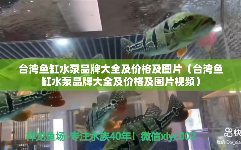 台湾鱼缸水泵品牌大全及价格及图片（台湾鱼缸水泵品牌大全及价格及图片视频）