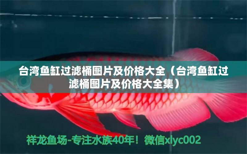 台湾鱼缸过滤桶图片及价格大全（台湾鱼缸过滤桶图片及价格大全集） 祥龙鱼场