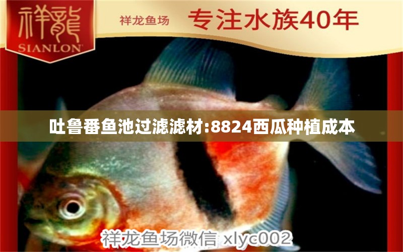 吐鲁番鱼池过滤滤材:8824西瓜种植成本 广州水族器材滤材批发市场