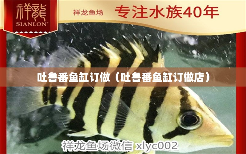 吐鲁番鱼缸订做（吐鲁番鱼缸订做店） 广州龙鱼批发市场