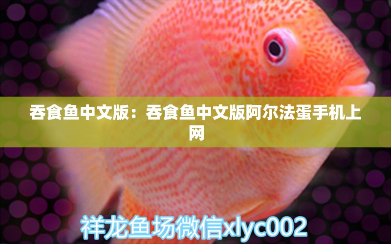 吞食鱼中文版：吞食鱼中文版阿尔法蛋手机上网