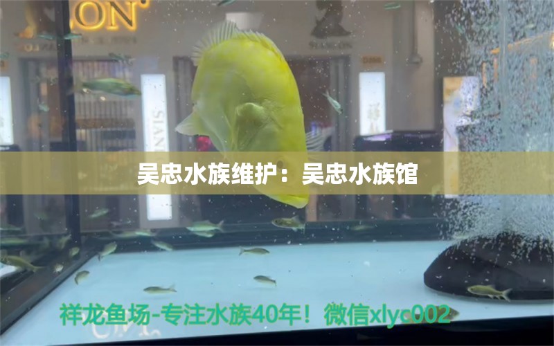 吴忠水族维护：吴忠水族馆 观赏鱼市场（混养鱼）
