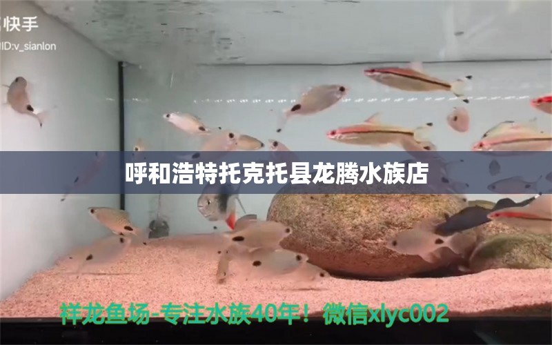 呼和浩特托克托县龙腾水族店 全国水族馆企业名录