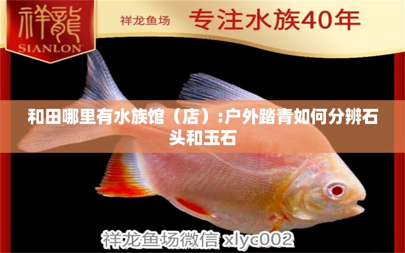 和田哪里有水族馆（店）:户外踏青如何分辨石头和玉石 观赏鱼水族批发市场