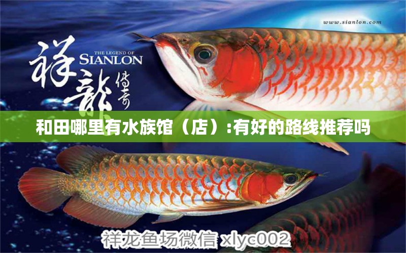 和田哪里有水族馆（店）:有好的路线推荐吗 观赏鱼水族批发市场