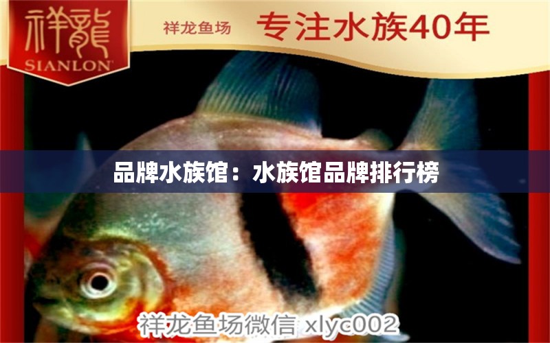 品牌水族馆：水族馆品牌排行榜 广州龙鱼批发市场