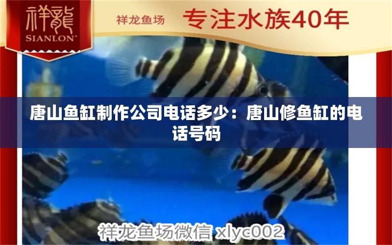 唐山鱼缸制作公司电话多少：唐山修鱼缸的电话号码 广州水族批发市场