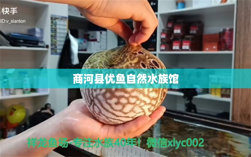 商河县优鱼自然水族馆