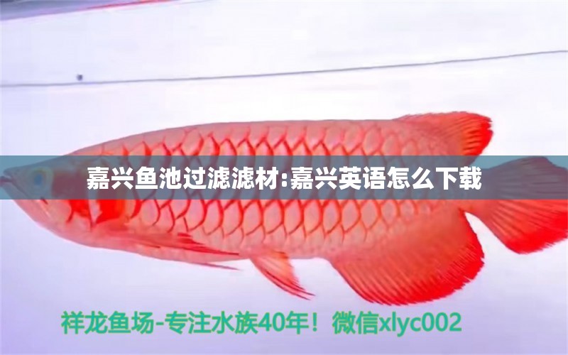 嘉兴鱼池过滤滤材:嘉兴英语怎么下载 广州水族器材滤材批发市场