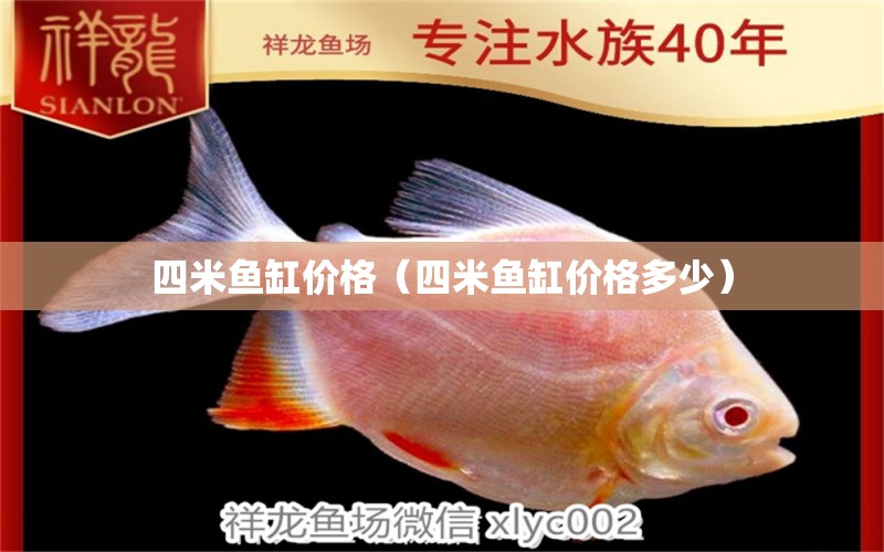 四米鱼缸价格（四米鱼缸价格多少） 鱼缸