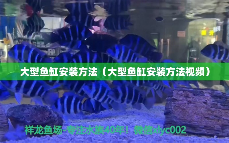 大型鱼缸安装方法（大型鱼缸安装方法视频）