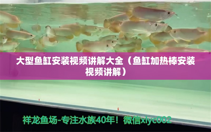 大型鱼缸安装视频讲解大全（鱼缸加热棒安装视频讲解） 彩鲽鱼缸（彩蝶鱼缸）