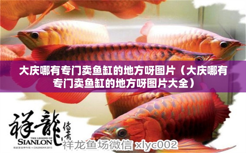 大庆哪有专门卖鱼缸的地方呀图片（大庆哪有专门卖鱼缸的地方呀图片大全）