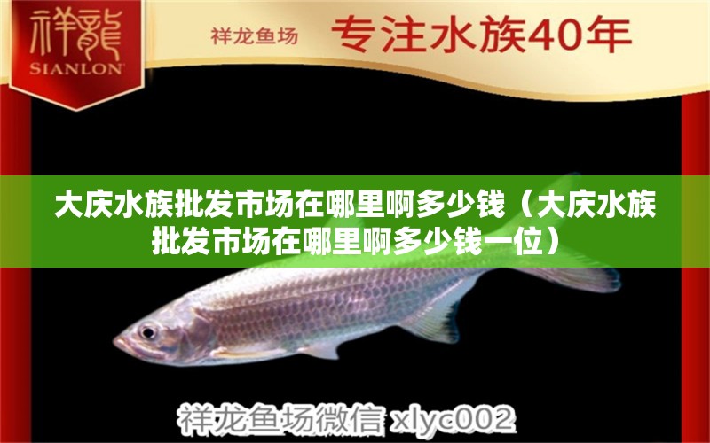 大庆水族批发市场在哪里啊多少钱（大庆水族批发市场在哪里啊多少钱一位） 观赏鱼水族批发市场