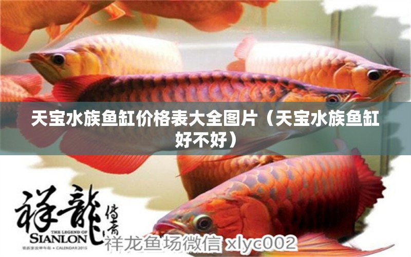 天宝水族鱼缸价格表大全图片（天宝水族鱼缸好不好） 巨骨舌鱼