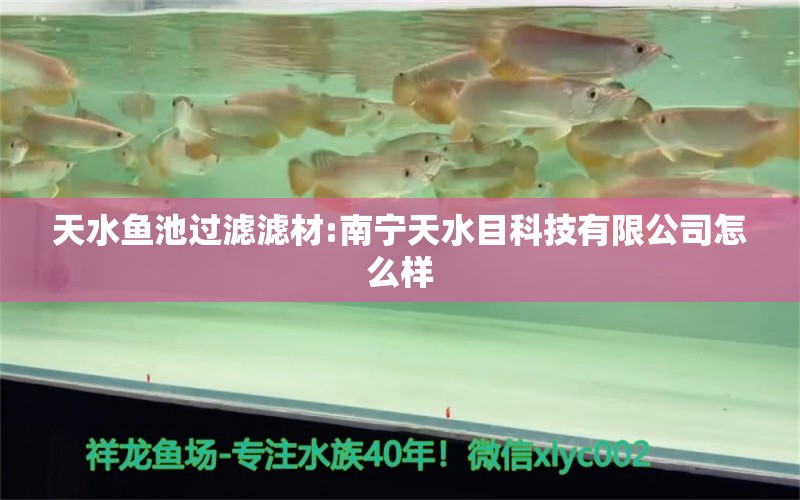天水鱼池过滤滤材:南宁天水目科技有限公司怎么样 广州水族器材滤材批发市场