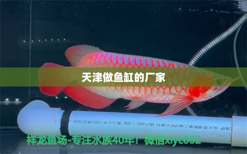 天津做鱼缸的厂家 其他品牌鱼缸