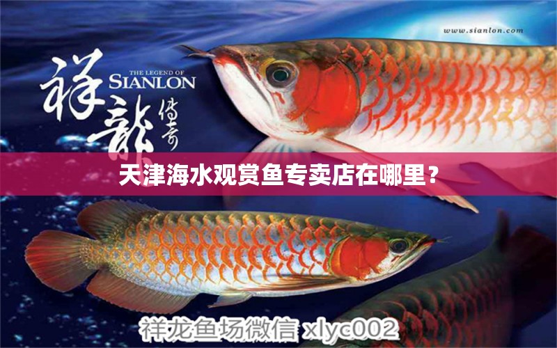 天津海水观赏鱼专卖店在哪里？