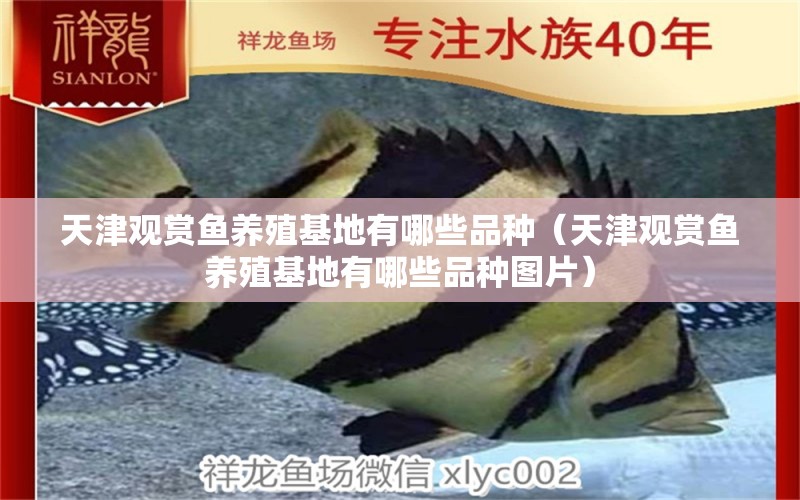 天津观赏鱼养殖基地有哪些品种（天津观赏鱼养殖基地有哪些品种图片）
