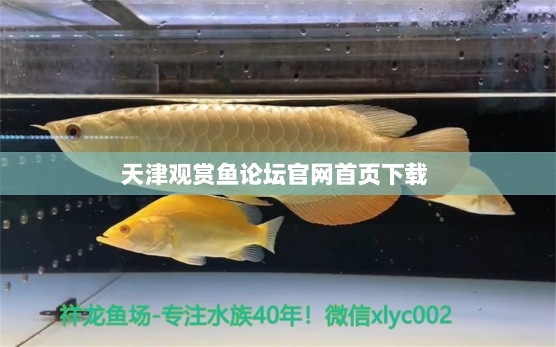 天津观赏鱼论坛官网首页下载 