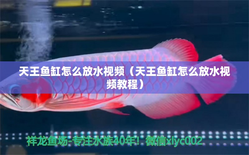 天王鱼缸怎么放水视频（天王鱼缸怎么放水视频教程）