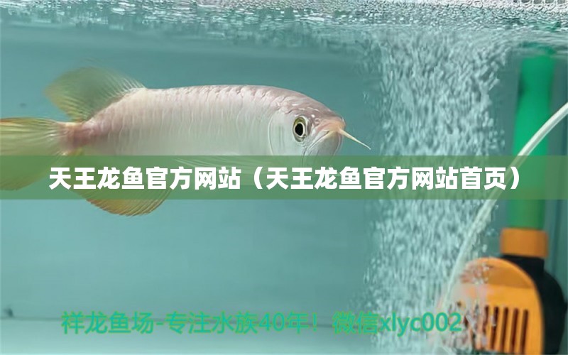 天王龙鱼官方网站（天王龙鱼官方网站首页）