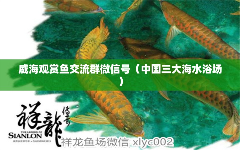 威海观赏鱼交流群微信号（中国三大海水浴场）