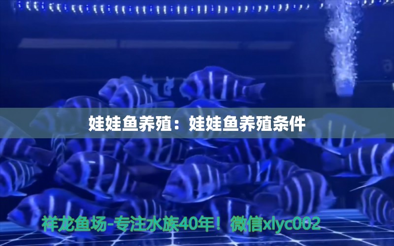 娃娃鱼养殖：娃娃鱼养殖条件 熊猫异形鱼L46