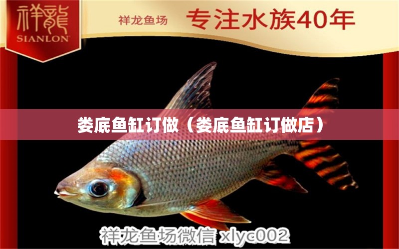 娄底鱼缸订做（娄底鱼缸订做店） 广州龙鱼批发市场