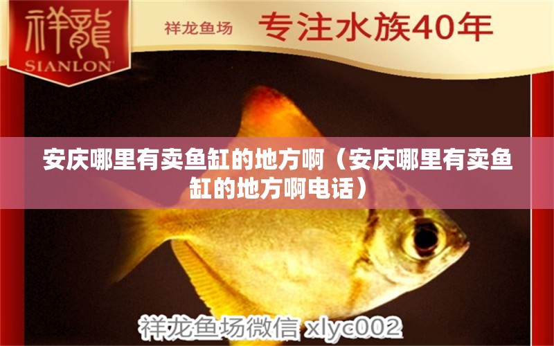 安庆哪里有卖鱼缸的地方啊（安庆哪里有卖鱼缸的地方啊电话） 其他品牌鱼缸