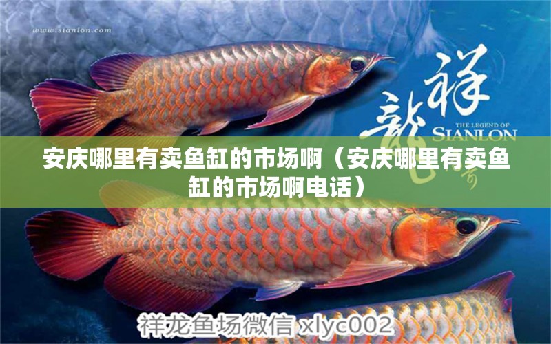 安庆哪里有卖鱼缸的市场啊（安庆哪里有卖鱼缸的市场啊电话） 其他品牌鱼缸