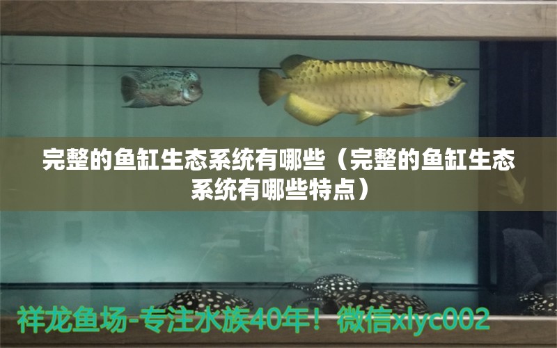 完整的鱼缸生态系统有哪些（完整的鱼缸生态系统有哪些特点） 祥龙水族医院