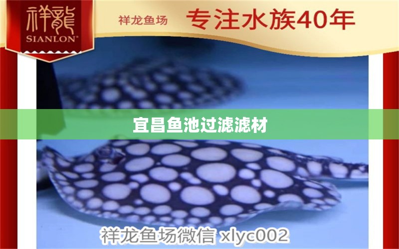 宜昌鱼池过滤滤材 广州水族器材滤材批发市场