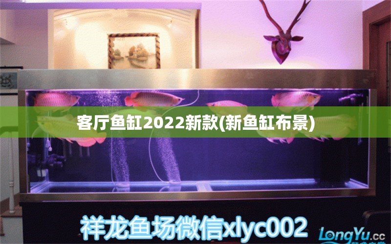 客厅鱼缸2022新款(新鱼缸布景) 喂食器