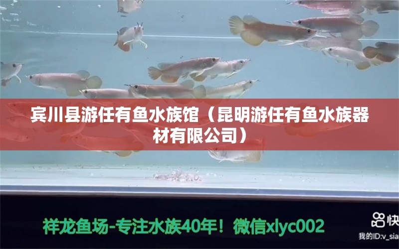 宾川县游任有鱼水族馆（昆明游任有鱼水族器材有限公司）