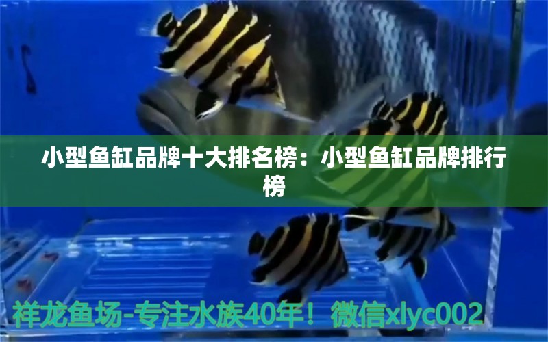 小型鱼缸品牌十大排名榜：小型鱼缸品牌排行榜 广州龙鱼批发市场