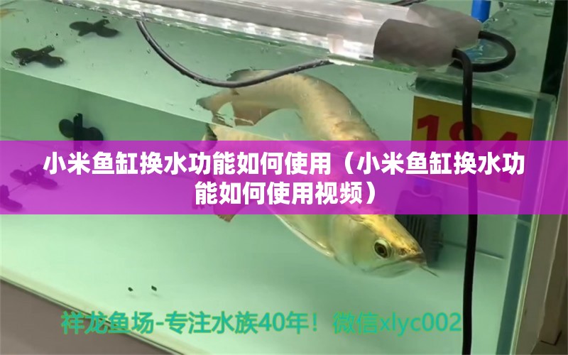 小米鱼缸换水功能如何使用（小米鱼缸换水功能如何使用视频） 其他品牌鱼缸