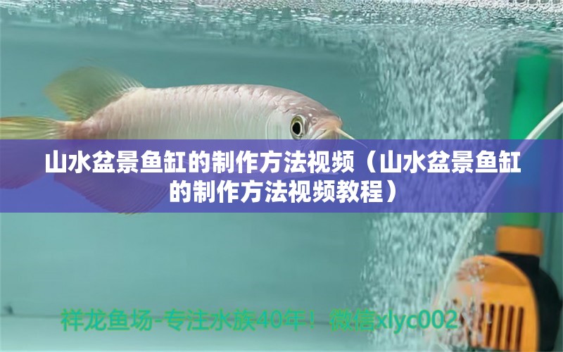 山水盆景鱼缸的制作方法视频（山水盆景鱼缸的制作方法视频教程）