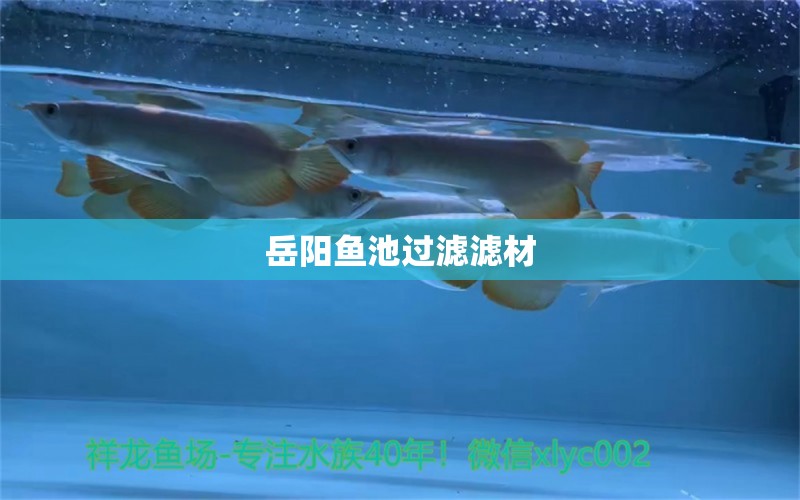 岳阳鱼池过滤滤材 广州水族器材滤材批发市场