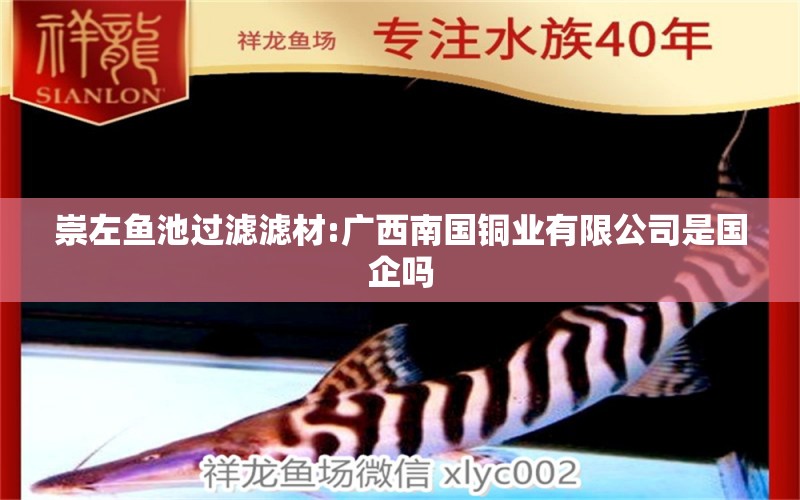 崇左鱼池过滤滤材:广西南国铜业有限公司是国企吗 广州水族器材滤材批发市场